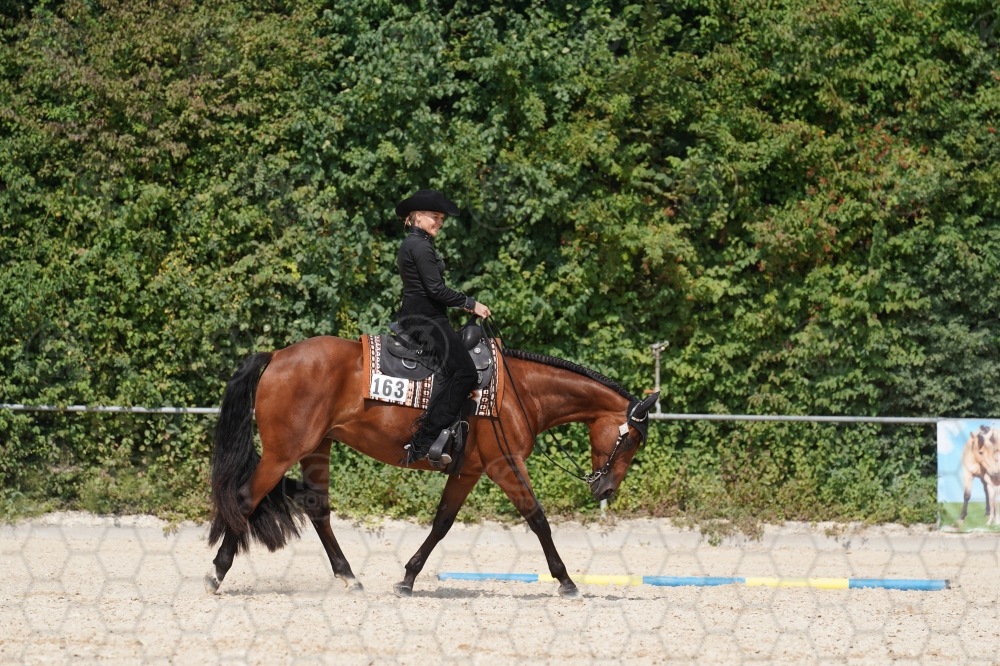 s_A9_01715.jpg